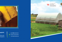 Խելացի Ֆերմա